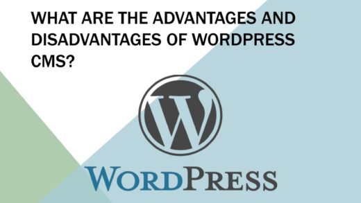 Advantages and disadvantages of WordPress and how to overcome its disadvantages